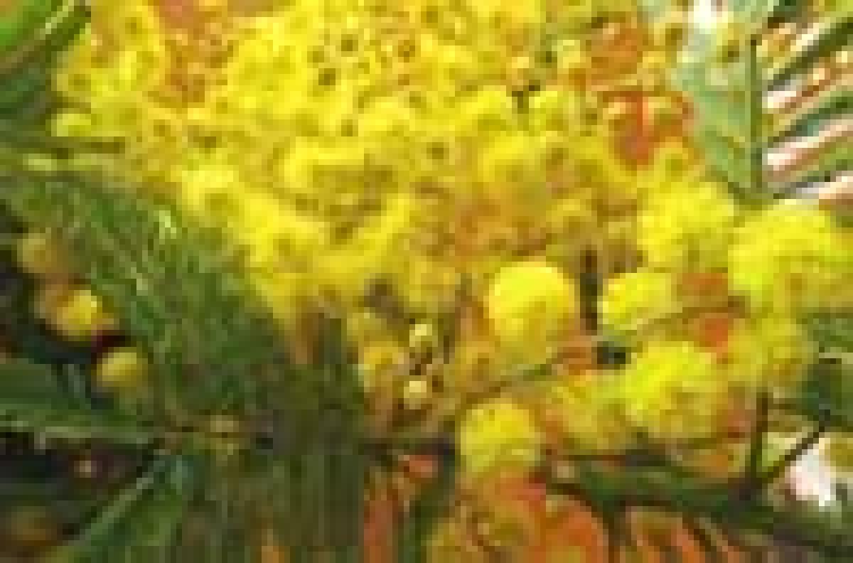 Le donne nelle istituzioni - 