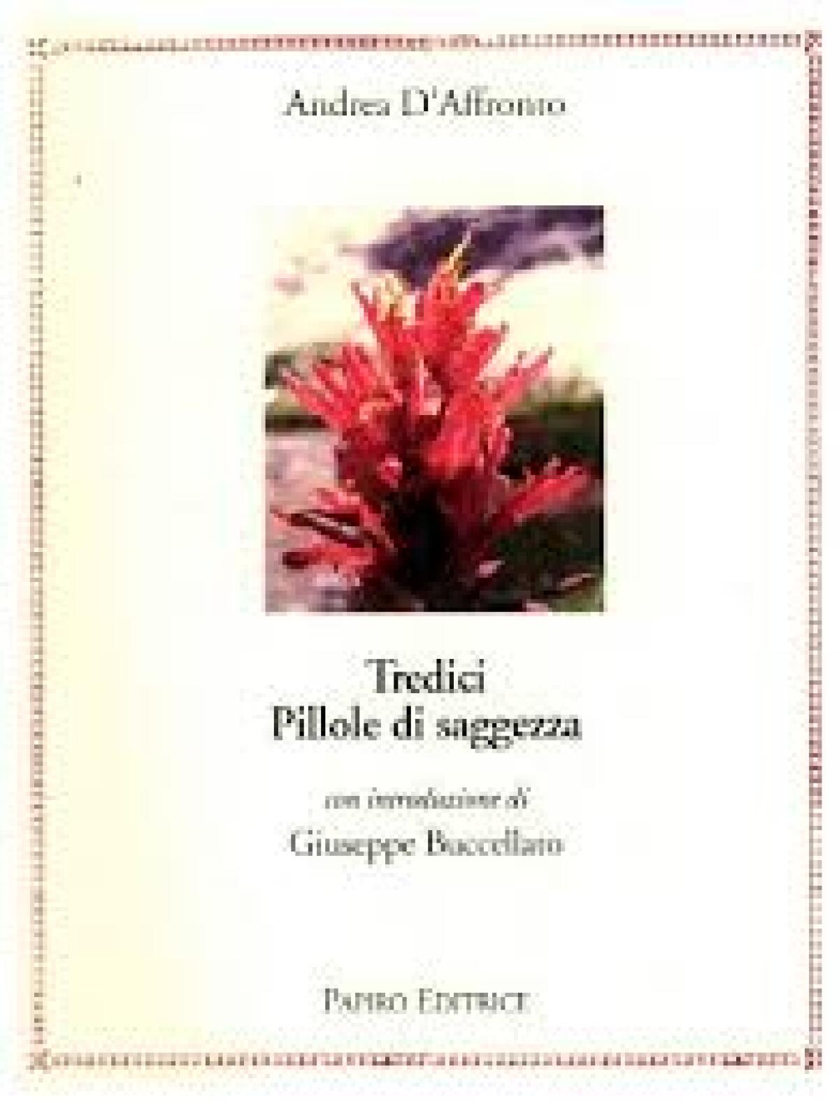 "Tredici pillole di saggezza" - by Andrea D’Affronto - 