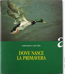 "Dove nasce la primavera" – by Emilio Barbera e Fabio Gino