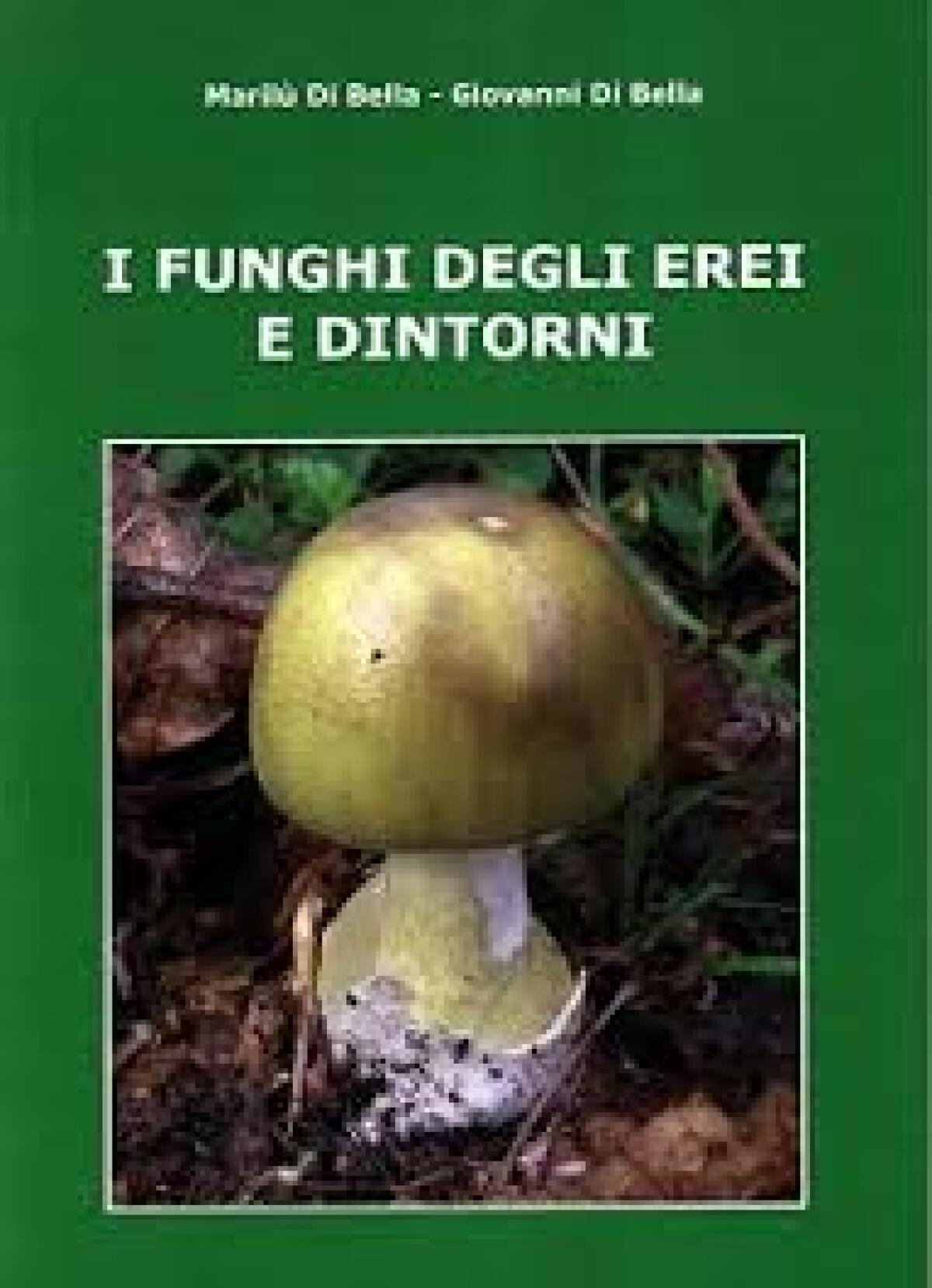 Enna. Un libro su “I funghi degli Erei e dintorni” - 