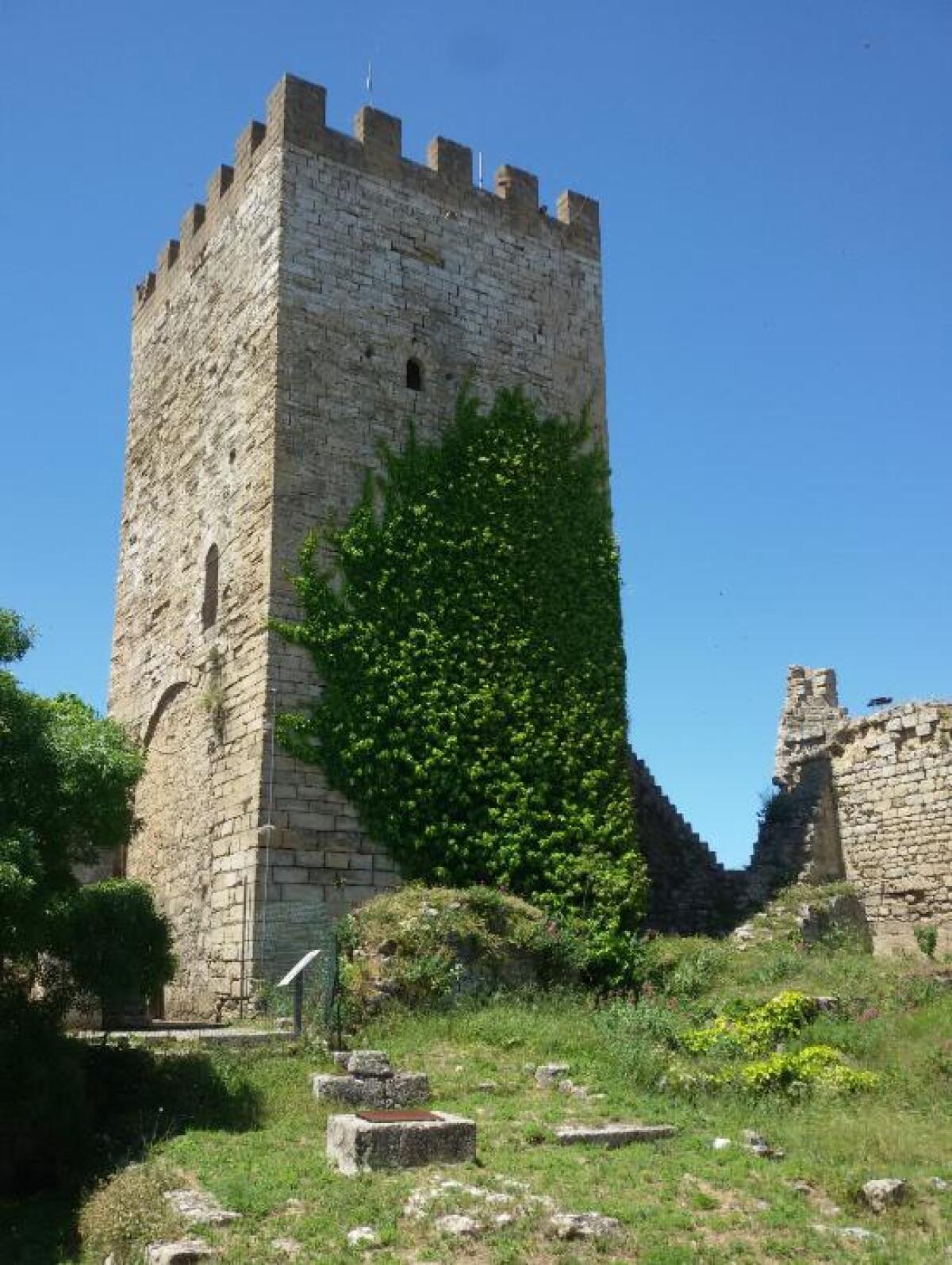 √i√i - Enna. Crollata nella notte la torre Pisana del castello di Lombardia - 