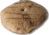 Vastedda cu sammucu. Il gusto della tradizione