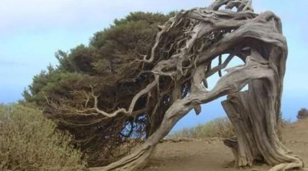 Lesione diritto all’immagine: Comune di Leonforte condannato a risarcire nostro giornale - 