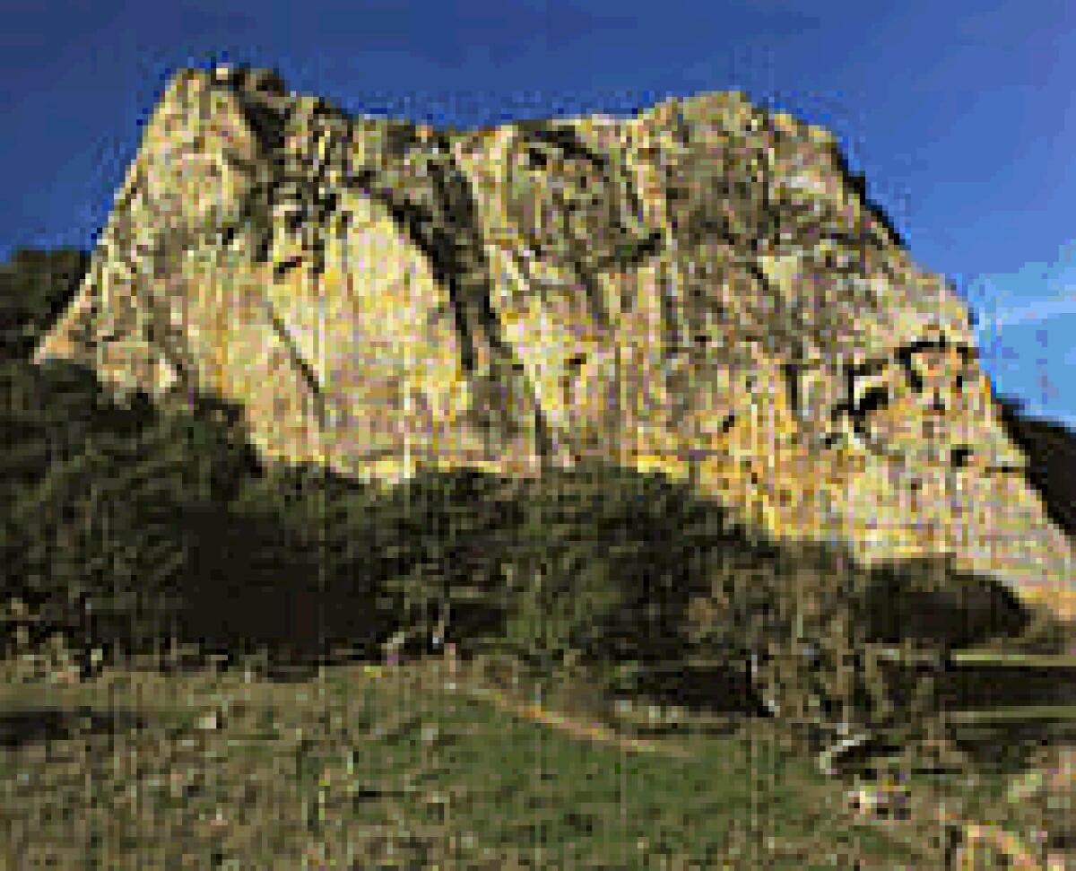 Sperlinga: Un bosco di roverelle abitato da esemplari di sparviero - 