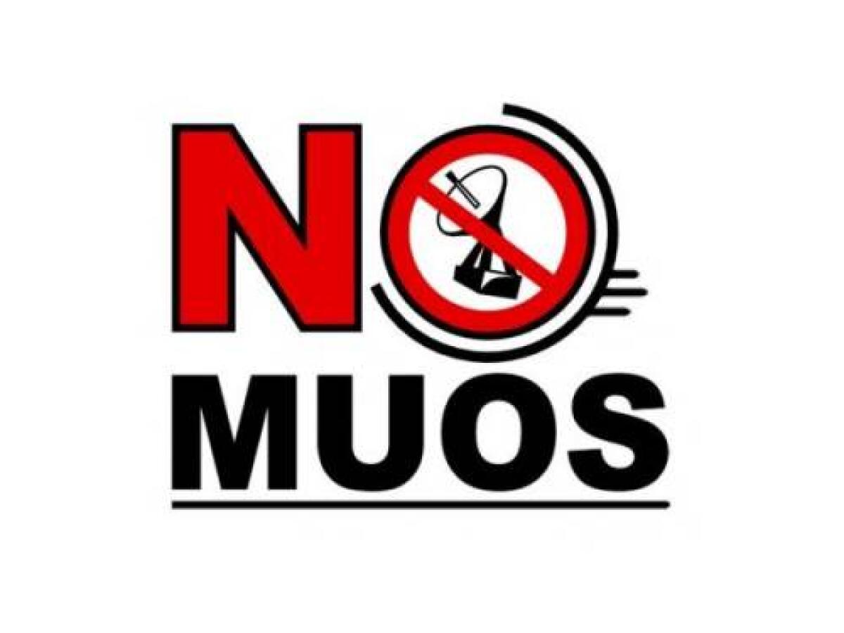 I No MUOS occupano l’aula consiliare di Piazza Armerina - 