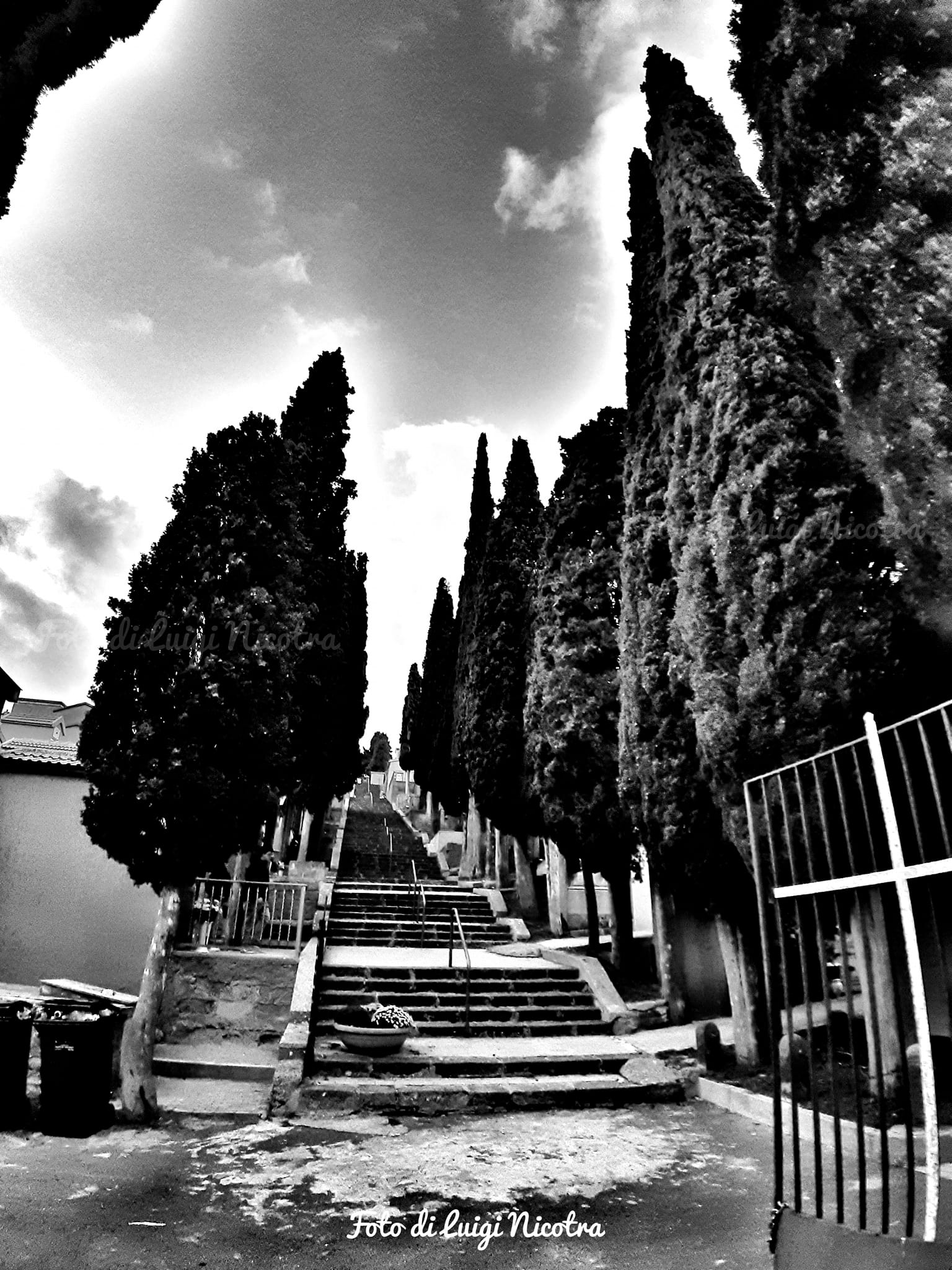 Enna: Istituzione del cimitero