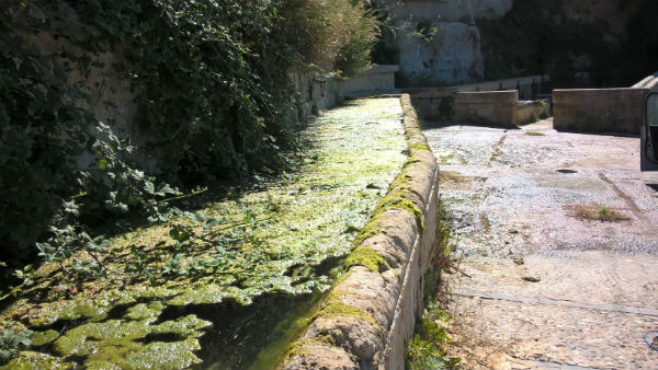 Enna. Santuario Papardura: Esaltazione Santa Croce