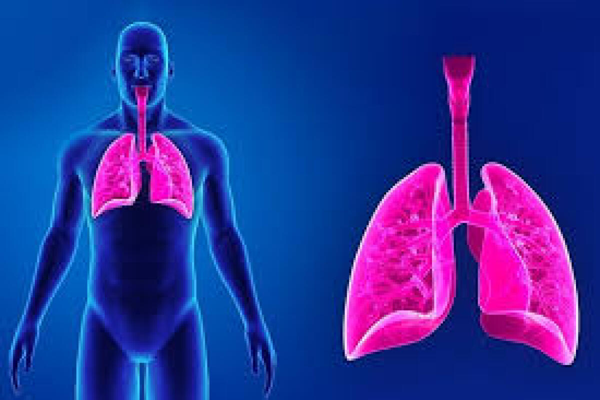 Asma? Eliminare fumo, muffe e smog - 