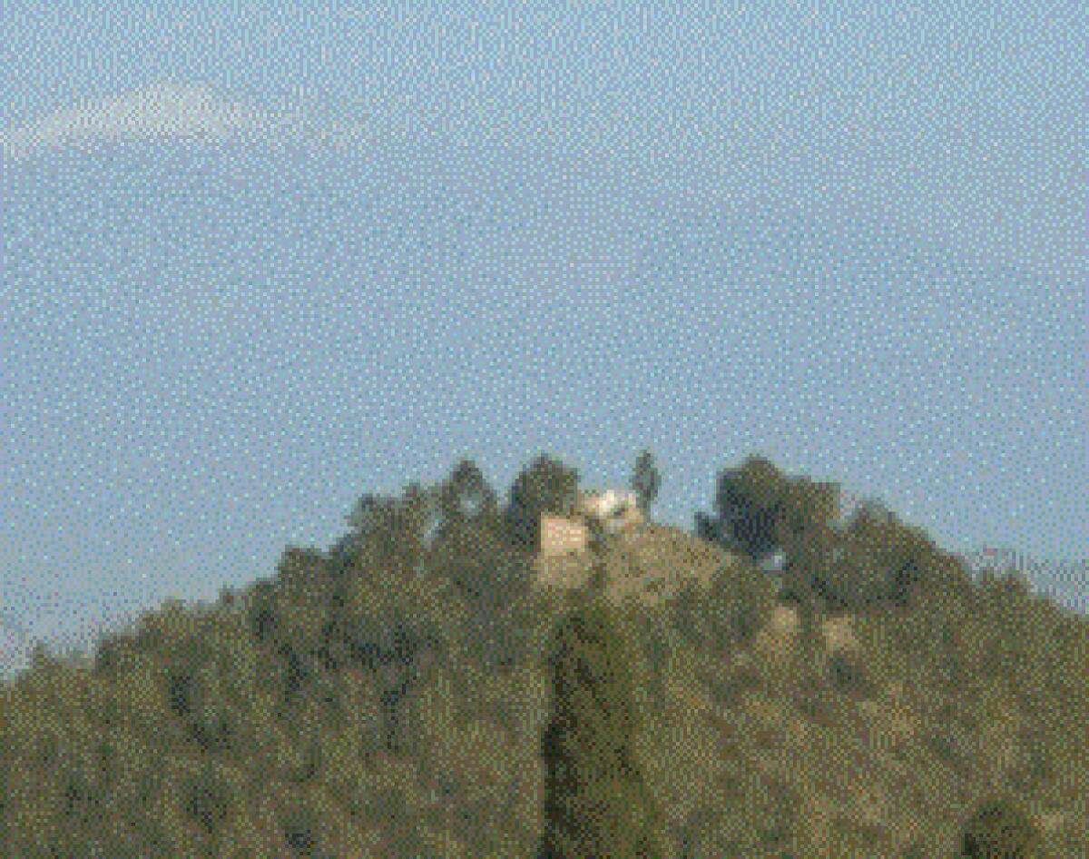 Video – guida su Aidone Morgantina (galloitalico) - 