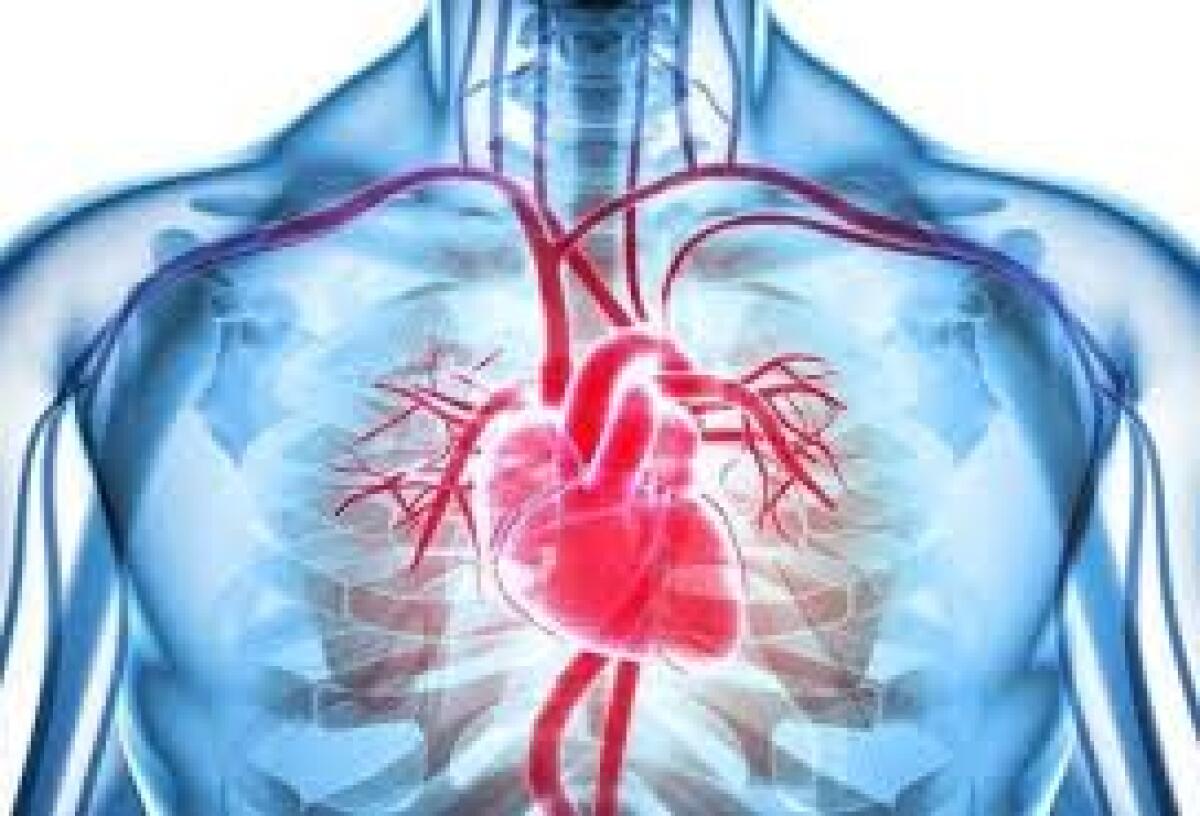Ipertensione arteriosa: è colpa dei geni? - 