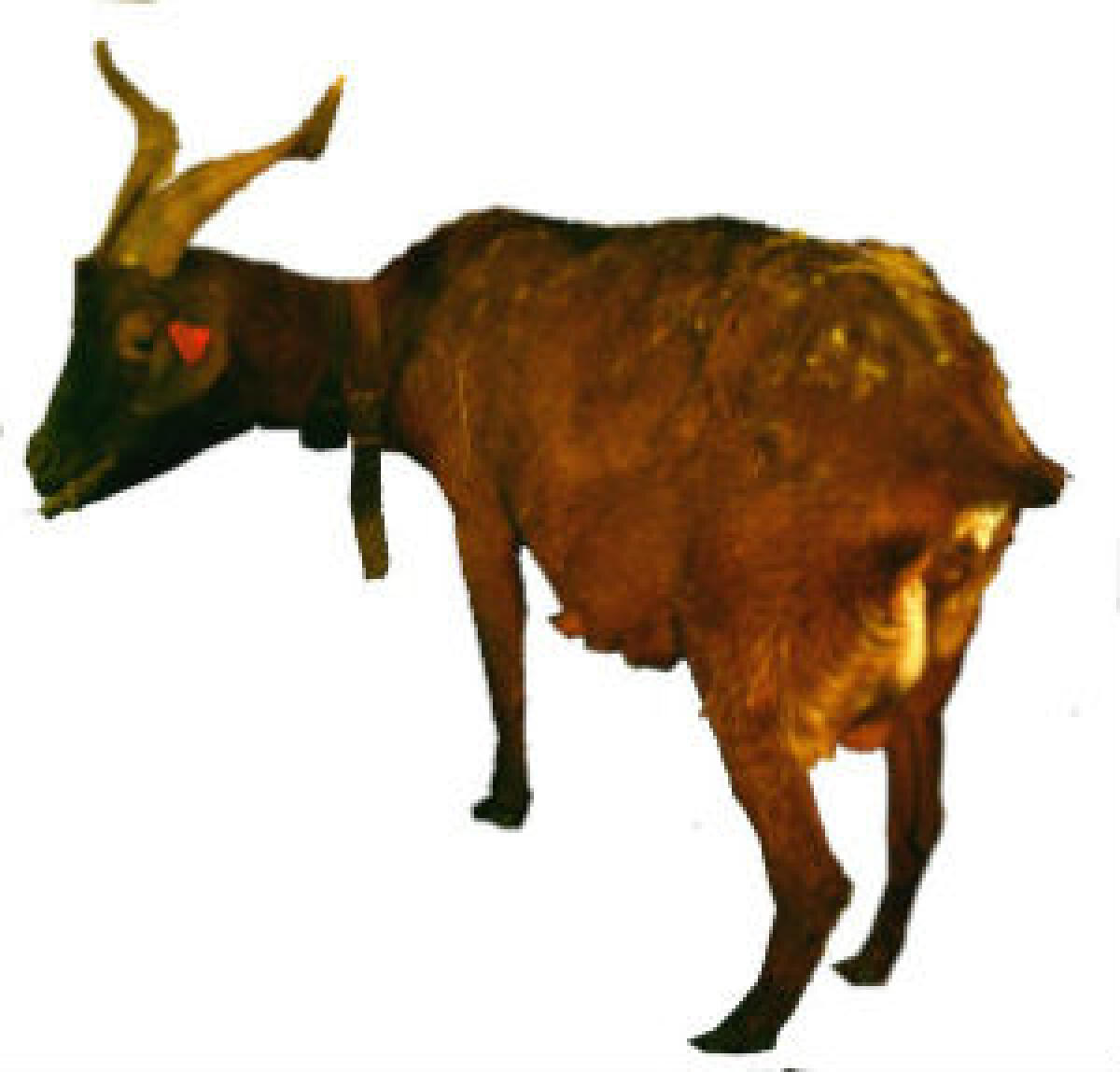 Le caprette ci fanno ciao! - 