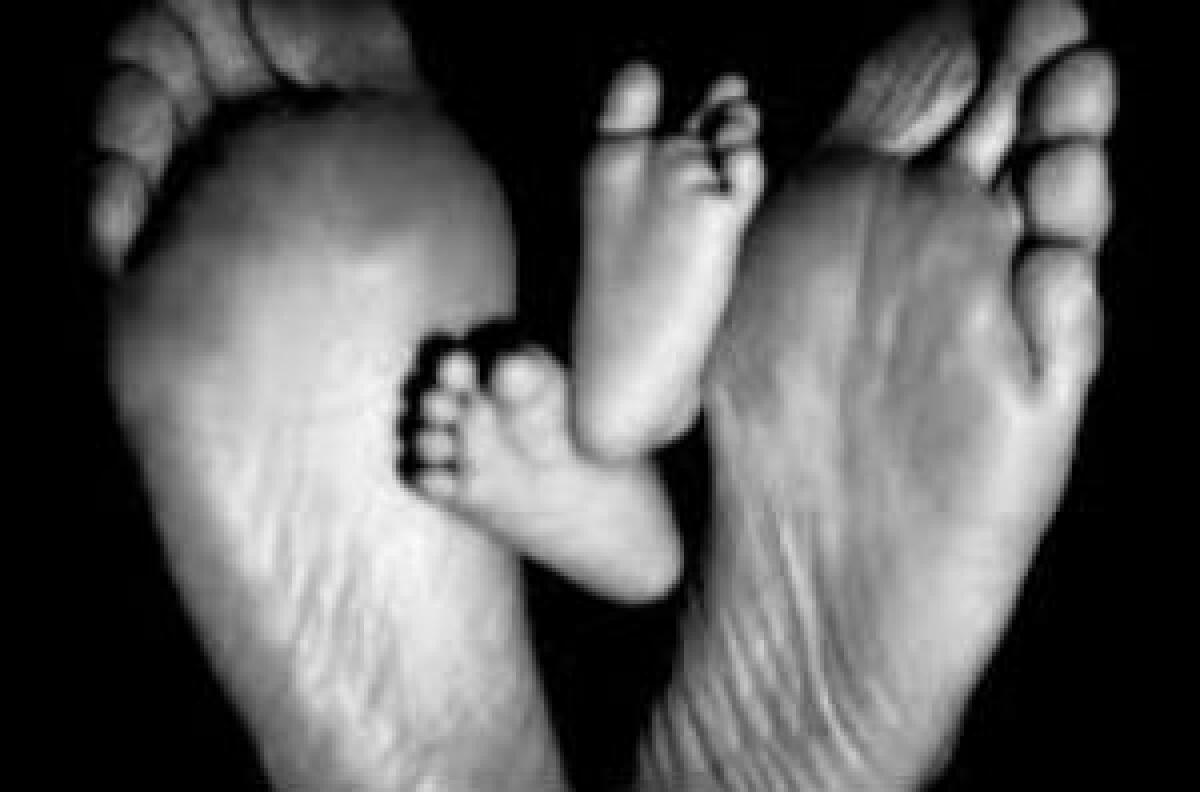 “Di chi sei figlio, gioia?” - 