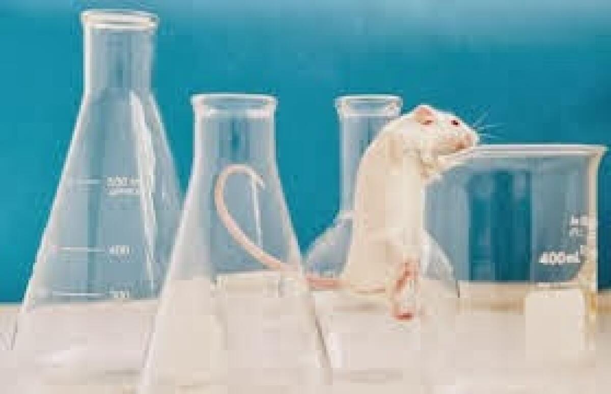 Sperimentazioni in corso - 