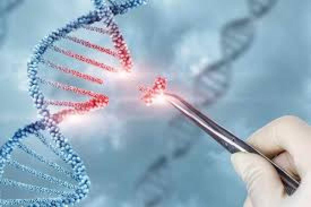 Il gene Nemo tra le cause di disturbi dell’apprendimento - 