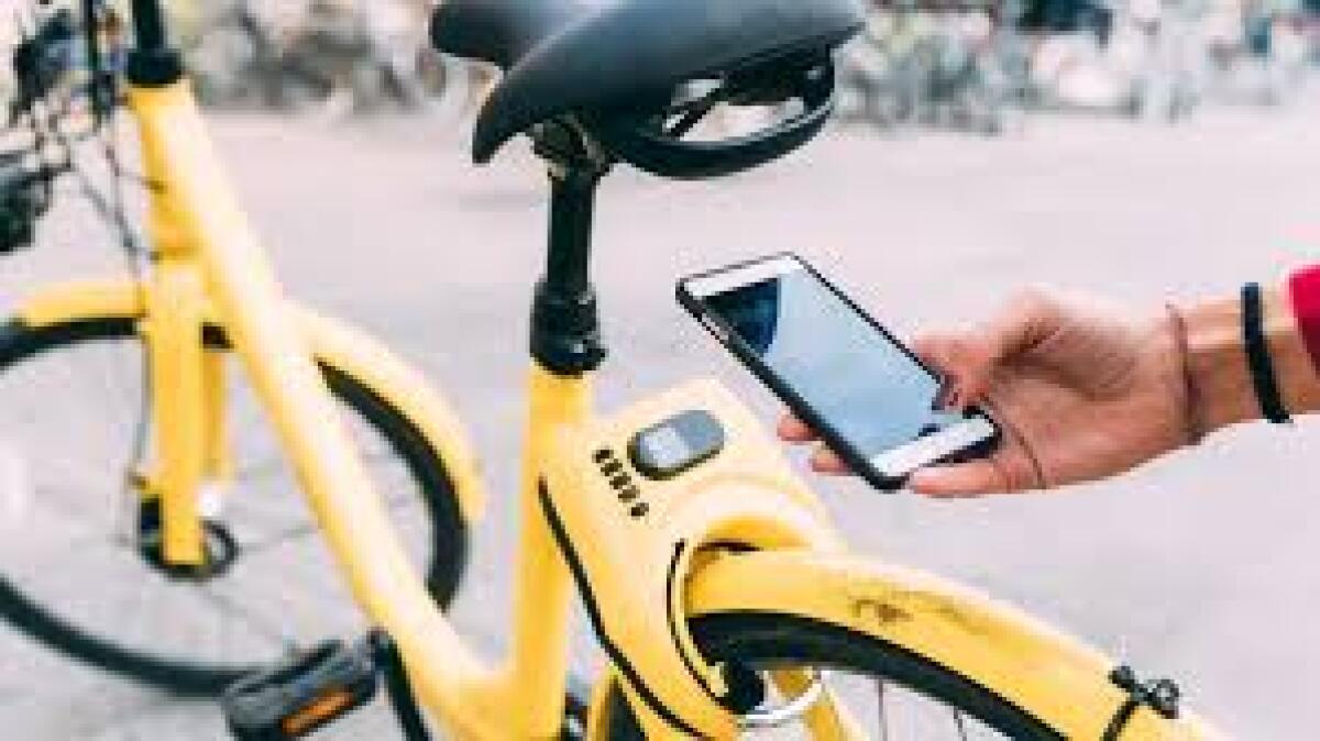 √i√i - Enna “bike sharing” primo incidente, vittima un Assessore comunale - 