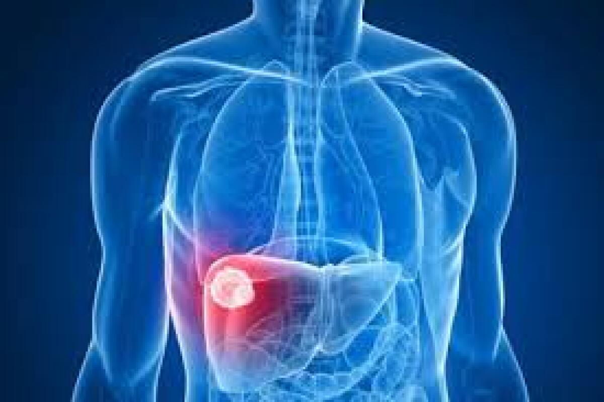 Epatite C, il futuro è già qui - 