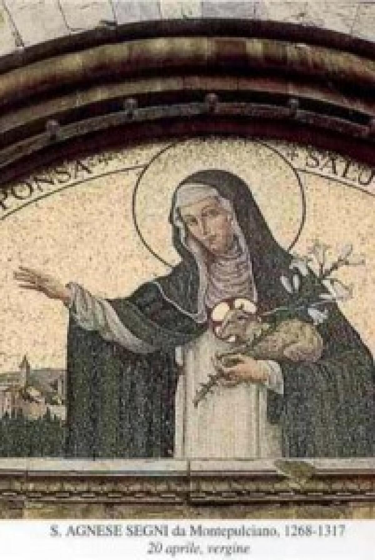 20 aprile: S.Agnese (Segni) di Montepulciano - 