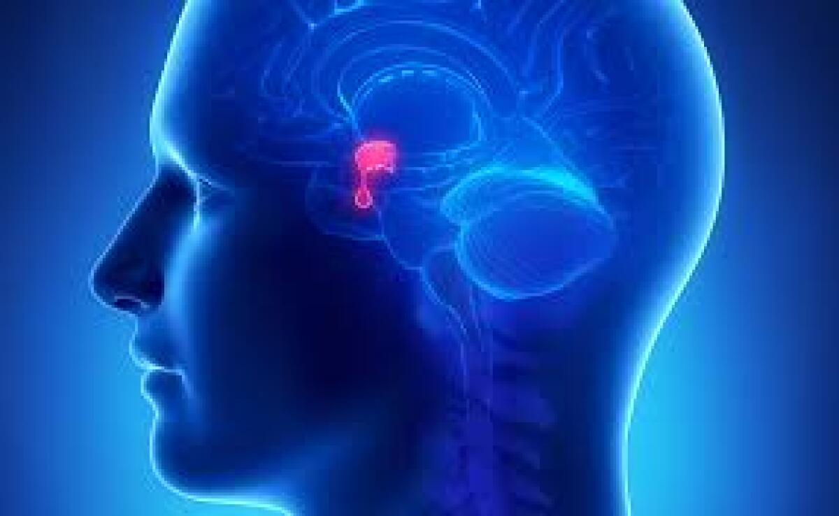 Malattie rare: primo farmaco per la Malattia di Cushing - 