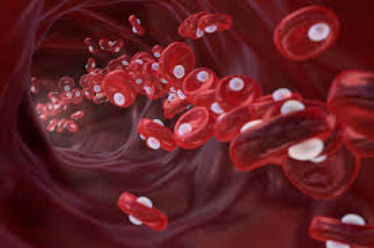 Ipossia: il cervello è meno vigile - 