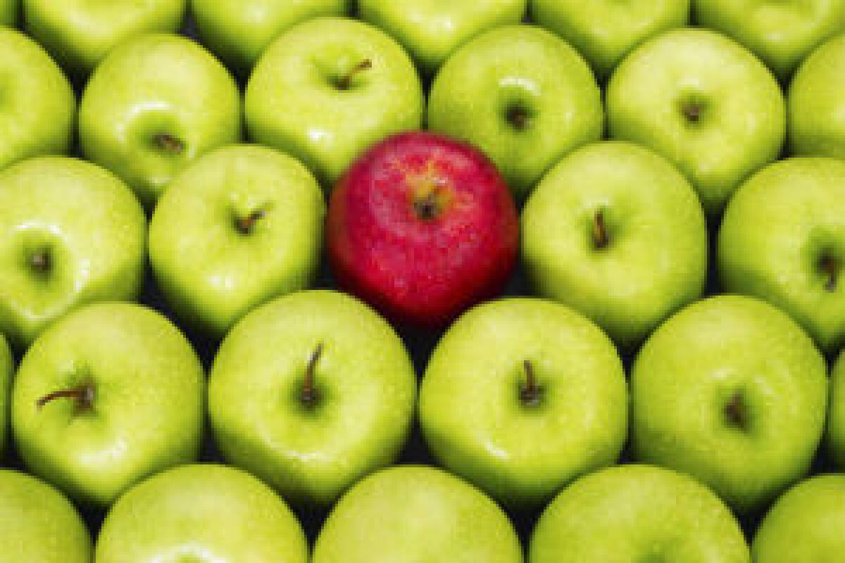 Una storia sbagliata - 