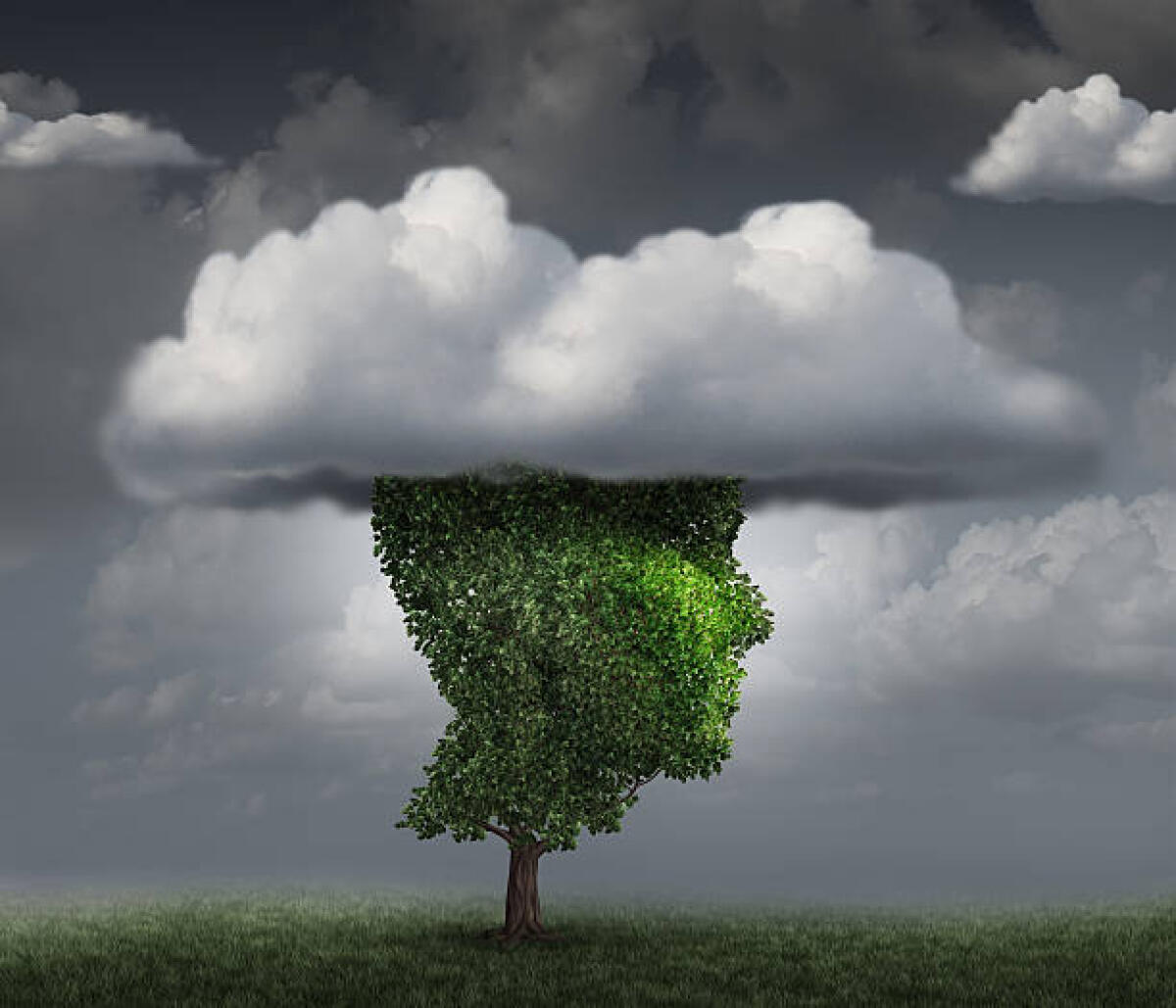 Dialogo tra sognatore vecchio e idealista giovane (18): ha vinto Il Diritto Mite. Cambia un'epoca - 