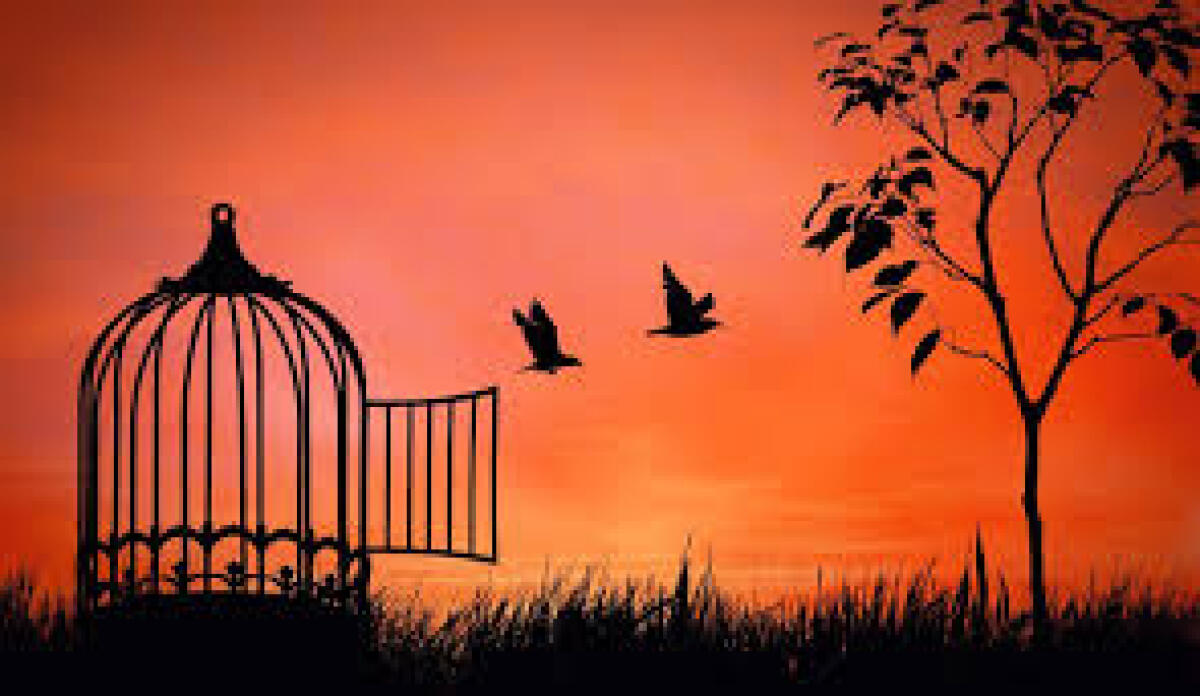 Spero adesso di vedere una nuova Enna, spero adesso di vedere gente libera - 