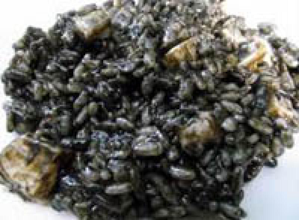 Riso al nero di seppia - 