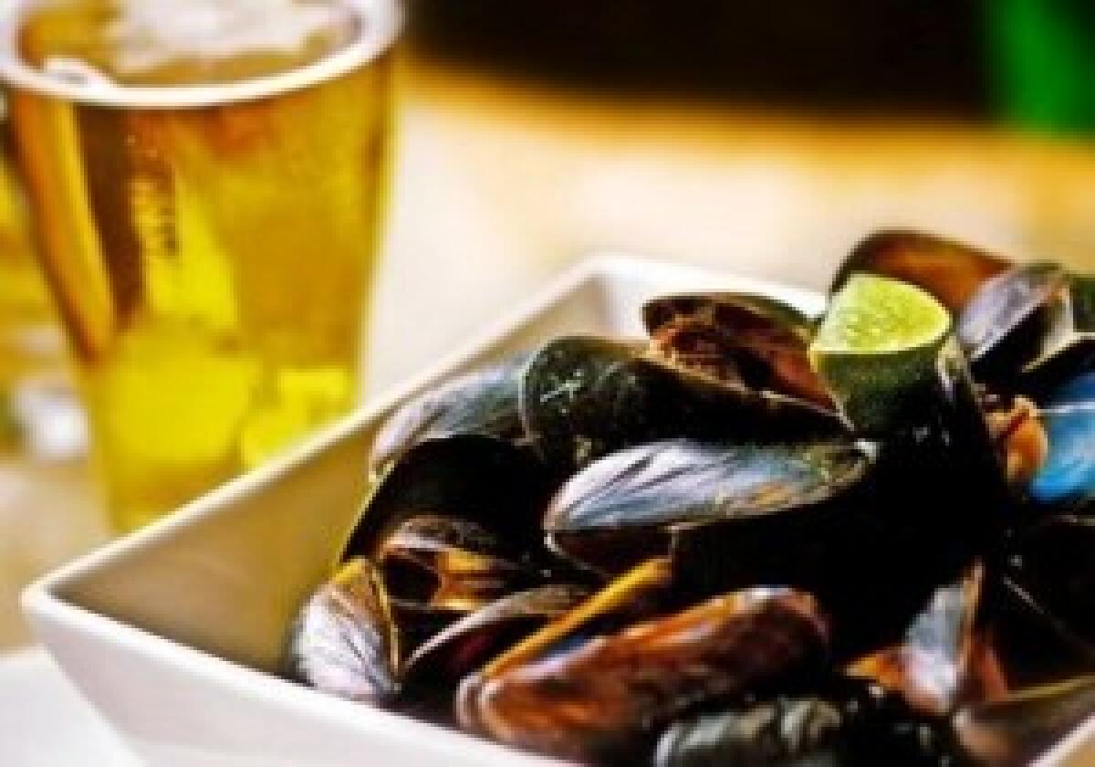 Cozze con vino bianco e salsa alle erbe - 