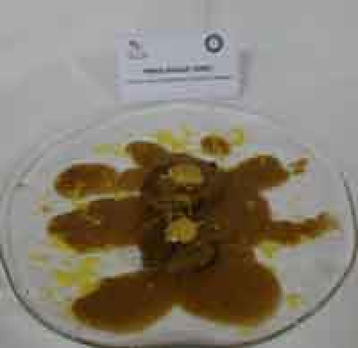 Carrè di manzo al piacentino ennese con salsa di castagne - 