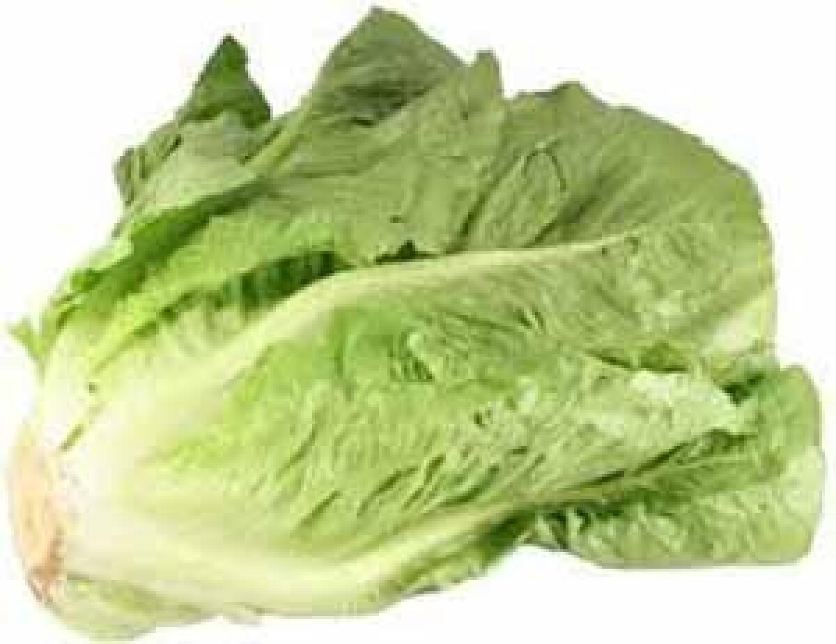 La rivoluzione della lattuga - 