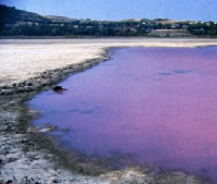 Le riserve naturali in provincia di Enna
