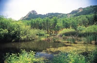 Le riserve naturali in provincia di Enna