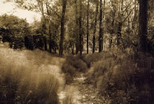 Le riserve naturali in provincia di Enna