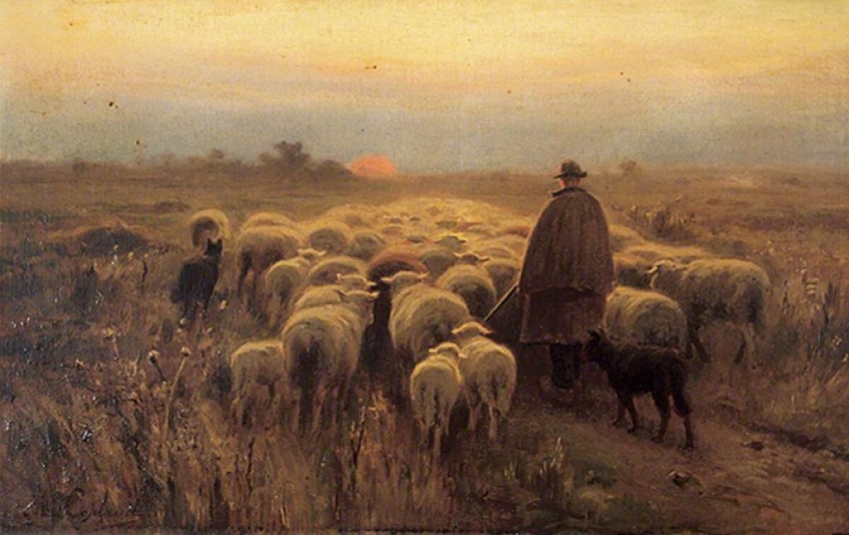 Ad Enna il gregge c’è, mancano i pastori - 