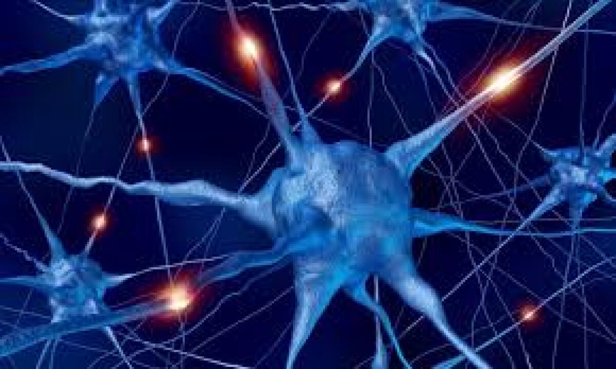 Terapia genica contro il cancro al cervello - 