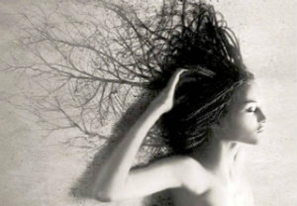 Shakespeare, dai sonetti. Pensiero - 