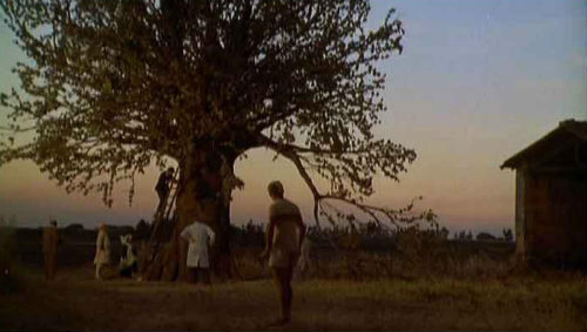 Voglio una donnaaaaaa, voglio una donnaaaaaa - 