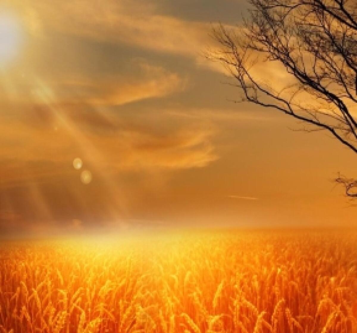 Pomeriggi d'estate - 