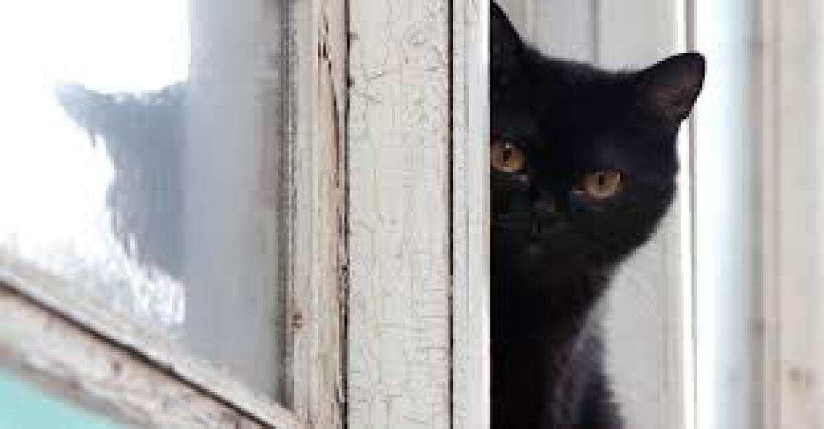 Dietro una finestra - 