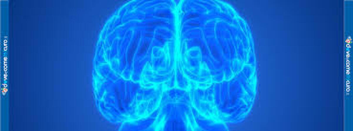 Idrocefalo: scoperta causa molecolare - 