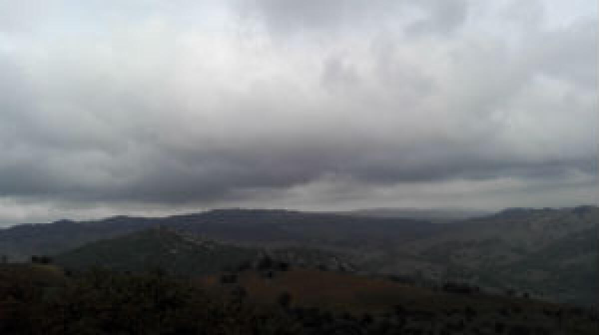 LA FOGLIA DEL BOSCO È UNA FOGLIA MUTA - 