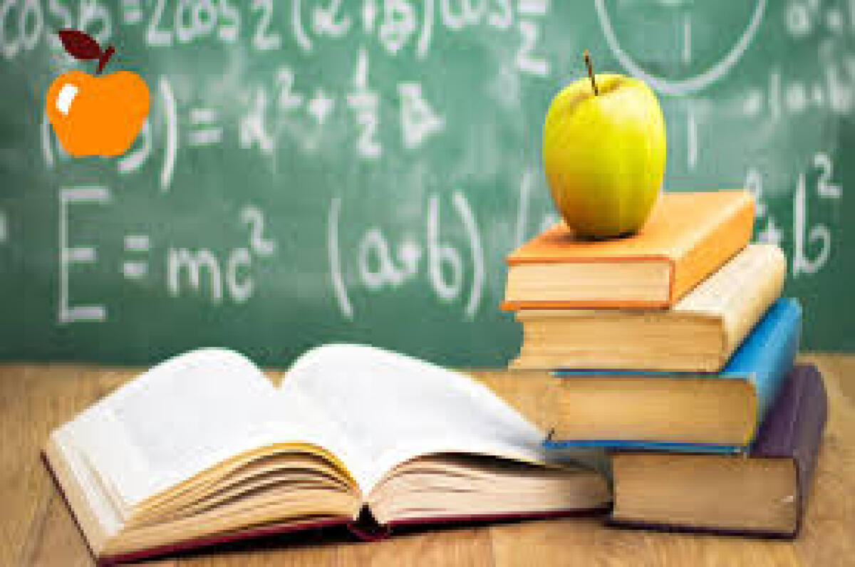 Aiuti di Stato preclusi agli Istituti scolastici paritari - 