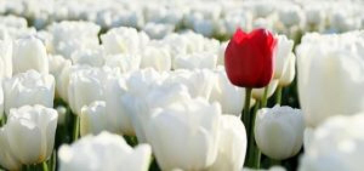 Credo che la vera bellezza stia... - 