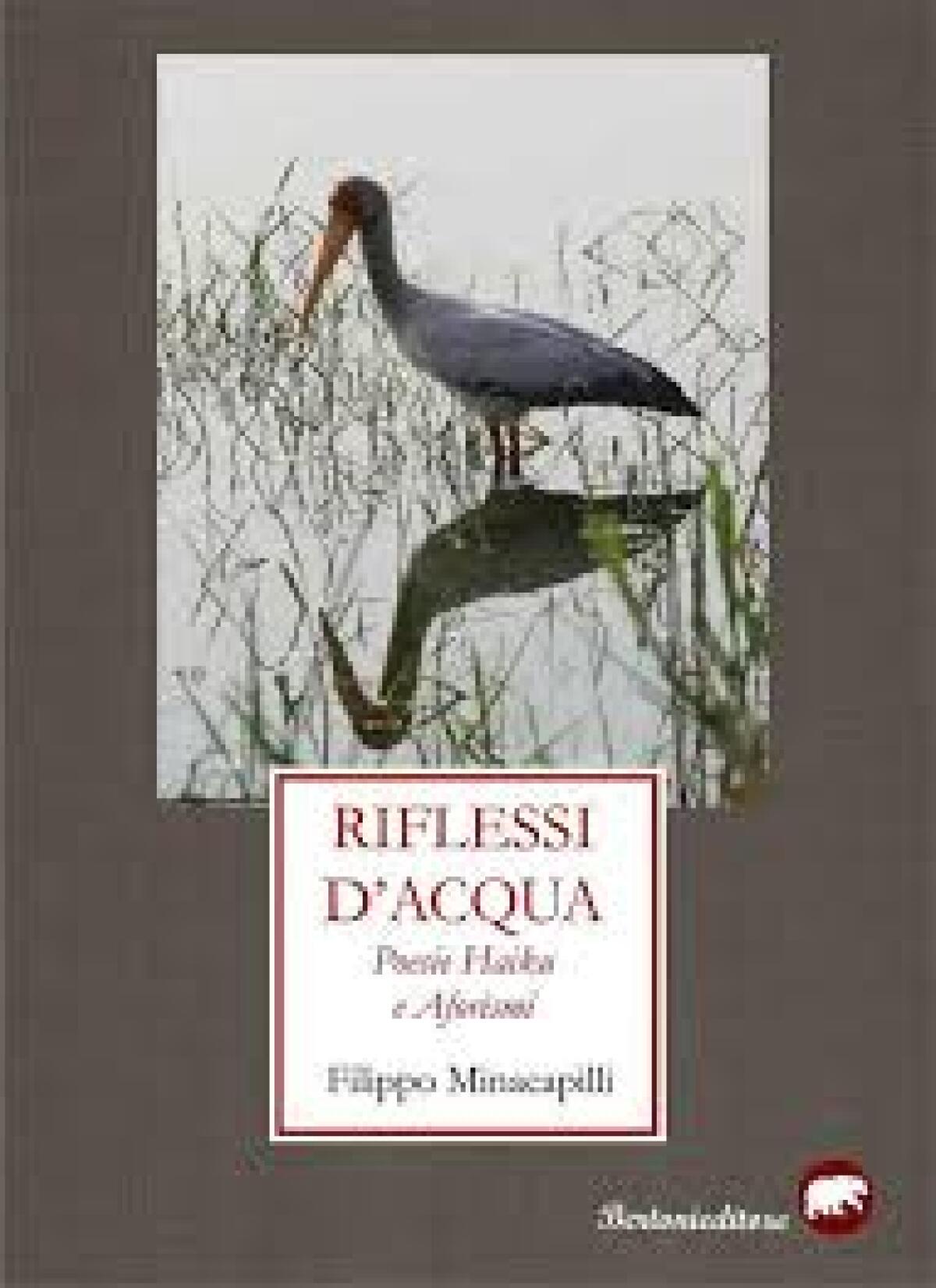 Enna: presentazione del libro “Riflessi d’Acqua” di Filippo Minacapilli - 