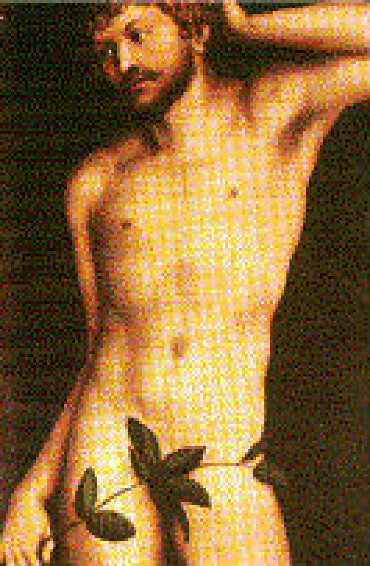 Il nudo integrale è nato... - 