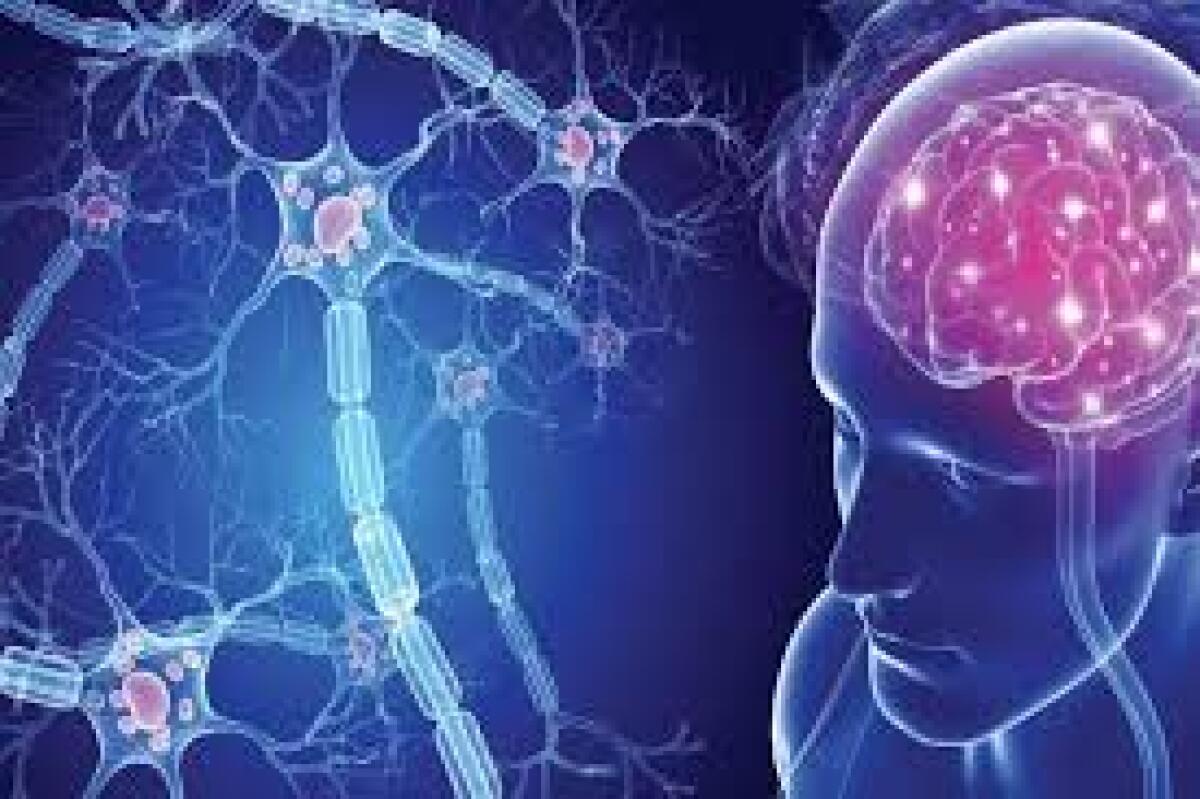 Scoperto nuovo gene per sclerosi multipla e Lupus - 