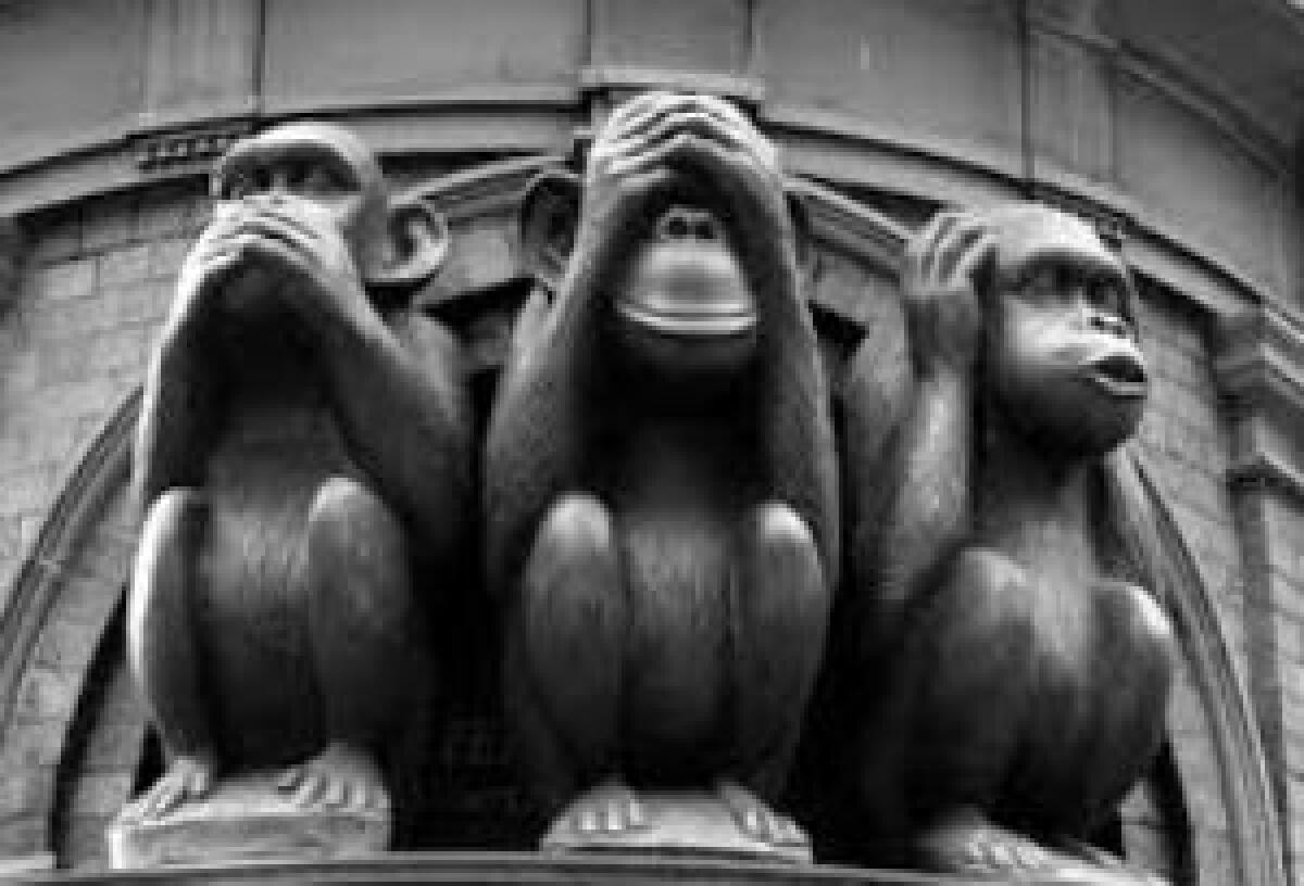 Anche le scimmie hanno ‘tradizioni’ - 