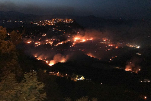 La Sicilia brucia, anche quest’anno. Solita storia, tutta colpa di quattro gatti