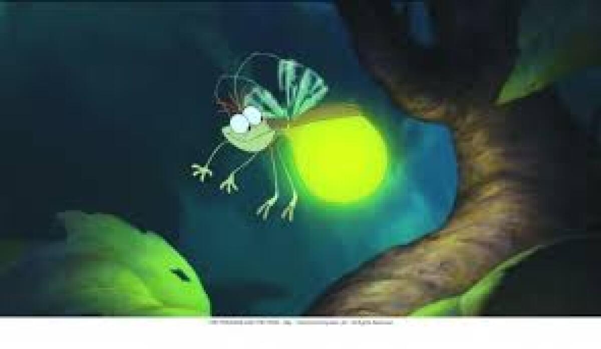 Enna. I Consiglieri comunali scambiano lucciole per lanterne - 