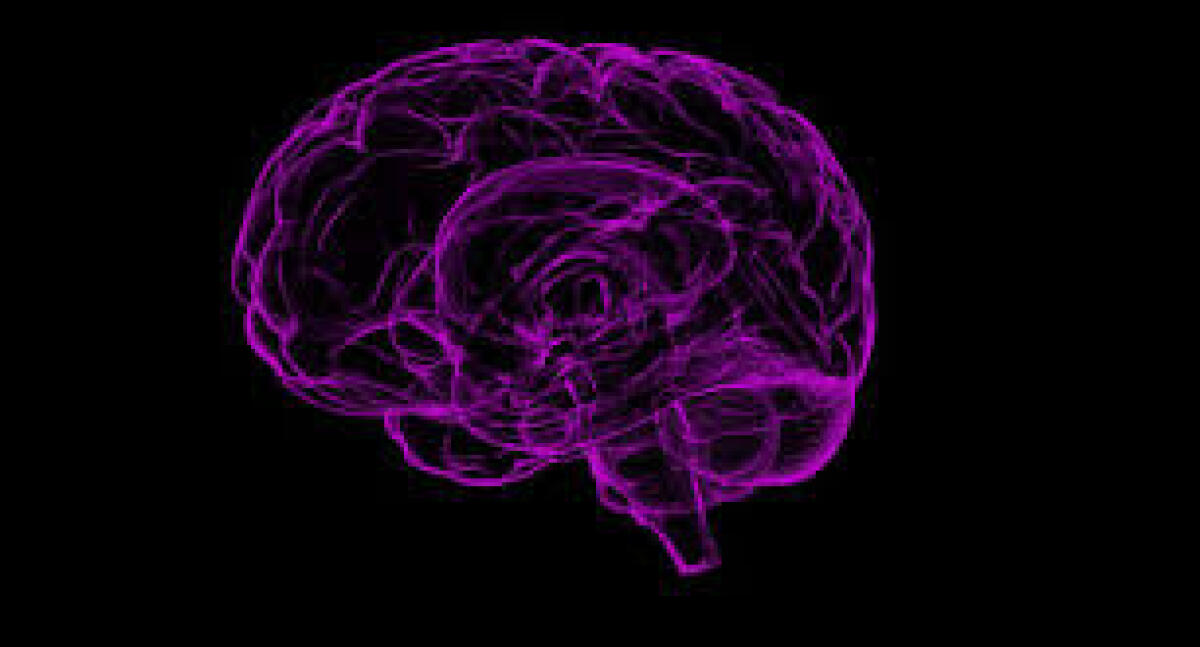 Cloro nel cervello: la prima misura in-vivo - 